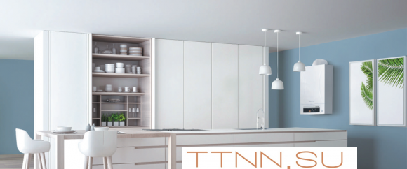 Настенный газовый котел Thermex Andromeda HM14