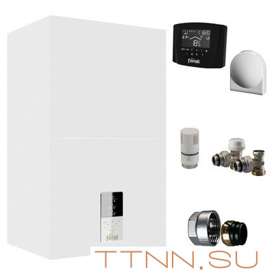 Настенный газовый котел Ferroli Bluehelix Hitech RRT 45 H (EU)